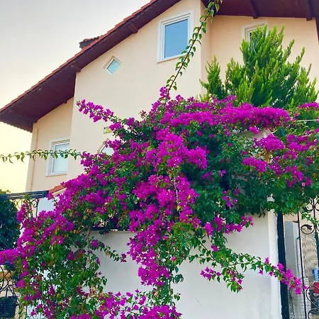 Casa Boa Vista, Luxury With Jacuzzi, Fireplace And Pool